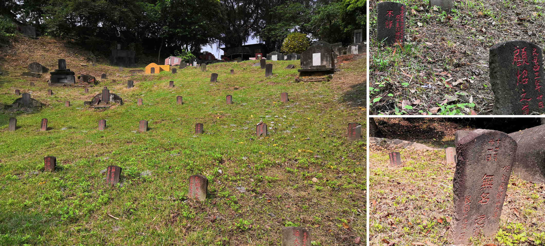 臺北市六張犁還留有幾百具當年白恐槍決後草草埋下的屍骨，墓碑上有些甚至沒有墓主姓名。